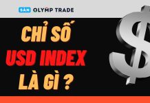 Chỉ số USD Index là gì? Vì sao cần chú ý đến nó khi giao dịch?