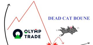 Mô hình giá Dead Cat Bounce là gì? Cách giao dịch hiệu quả với nó tại Olymp Trade