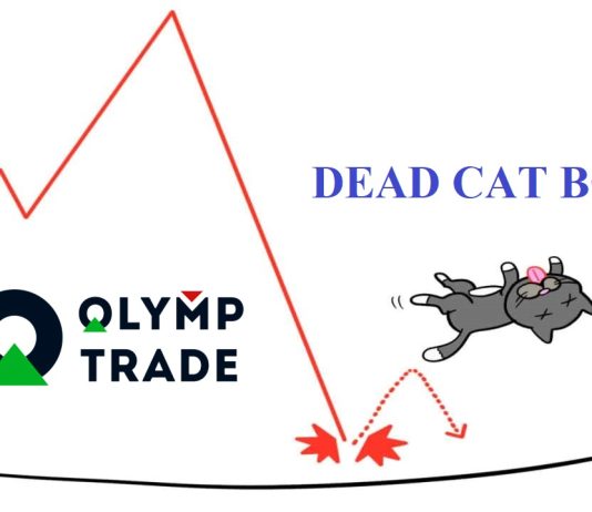 Mô hình giá Dead Cat Bounce là gì? Cách giao dịch hiệu quả với nó tại Olymp Trade