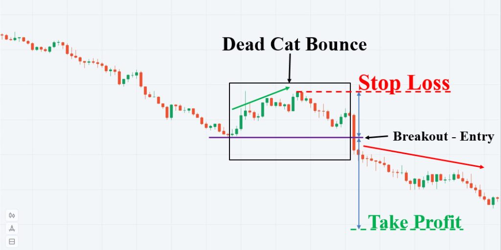 Vào lệnh Down với mô hình Dead Cat Bounce