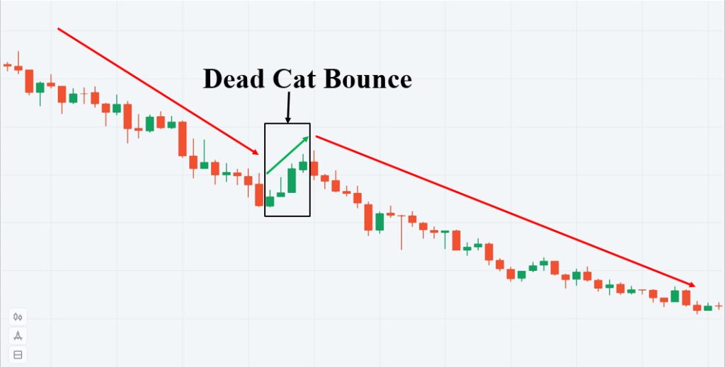 Ý nghĩa của mô hình giá Dead Cat Bounce